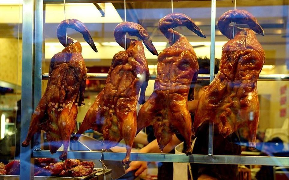 荷兰美食大全视频,荷兰美食介绍价格表