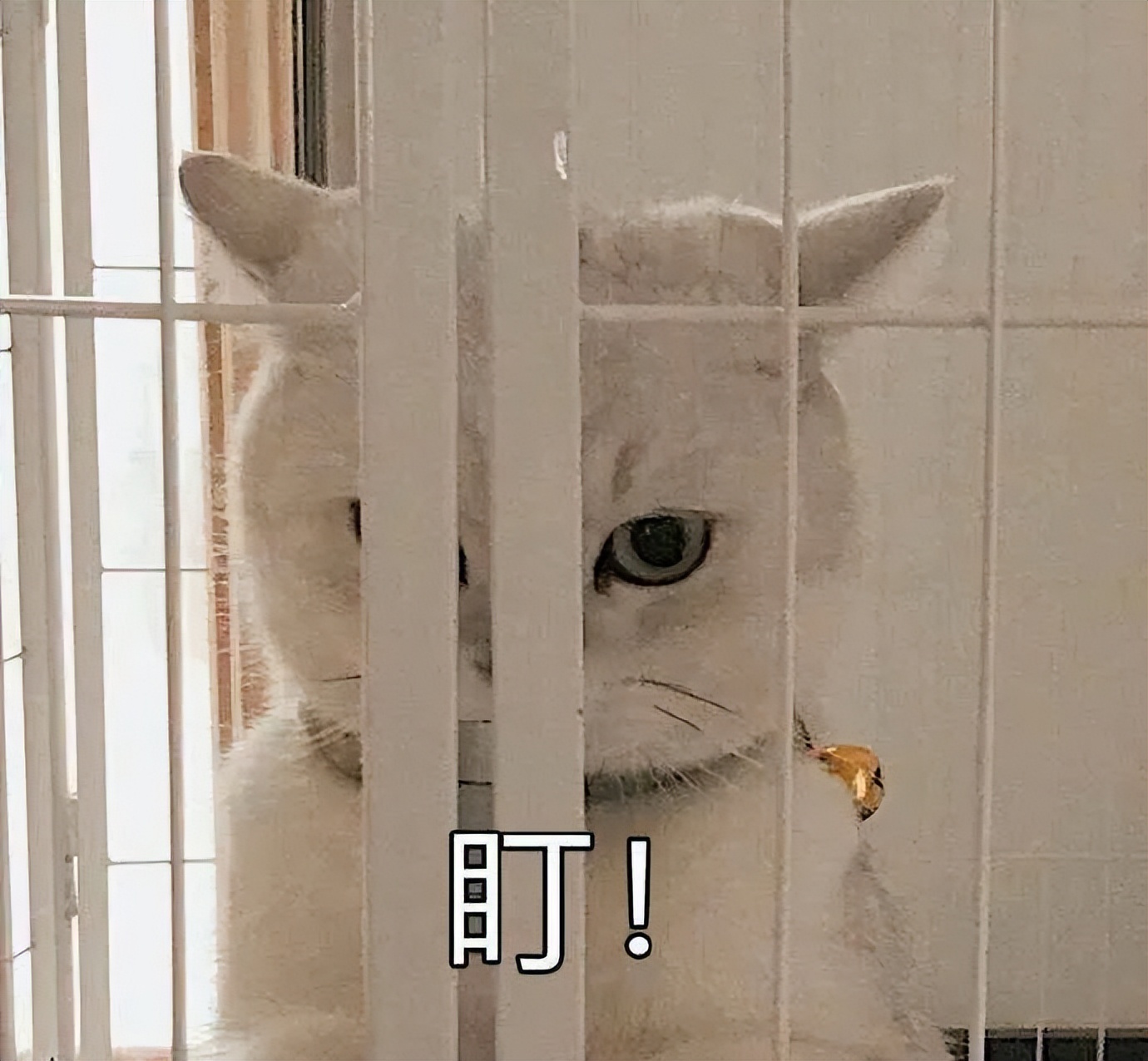 今年广东高考作文题考什么,广东学考作文2019