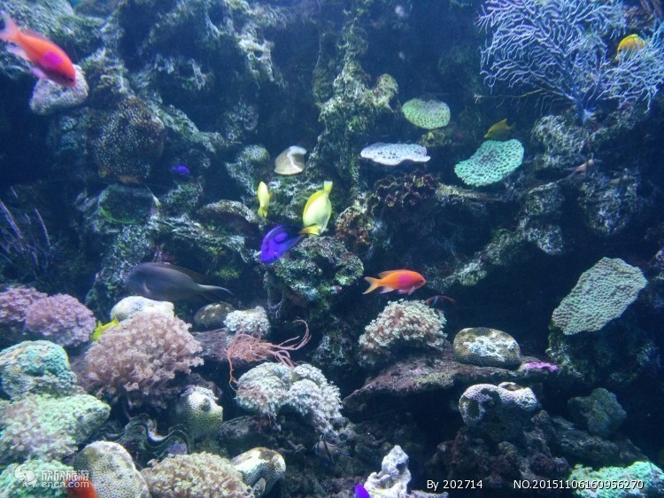 大连四天三晚旅游攻略,大连四天三晚旅游攻略大全