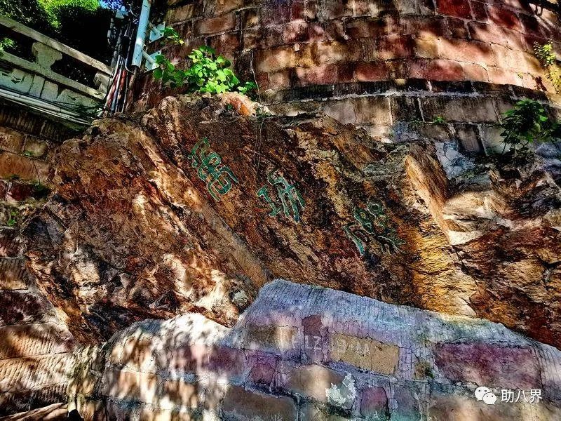 武汉十大旅游景点排名,武汉江夏网红打卡景点大全