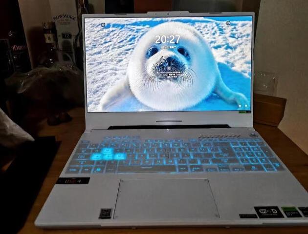 华硕天选4锐龙版开着机屏幕不亮,华硕天选4锐龙版突然黑屏