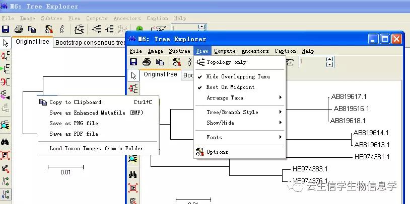 怎么用mega软件构建进化树,mega6软件使用教程视频