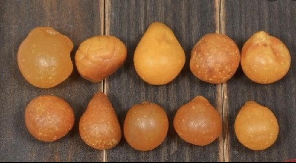 琥珀跟蜜蜡有什么区别哪个好,琥珀和蜜蜡是一样吗有什么区别