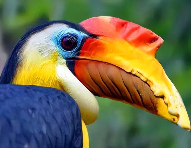 买饰品后被判刑,昆明一女子购买吊坠被判十年