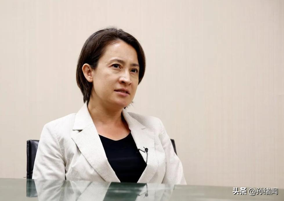 “*独台**”分子逃到海外怎么办？专家：至少有两种方式将其绳之以法