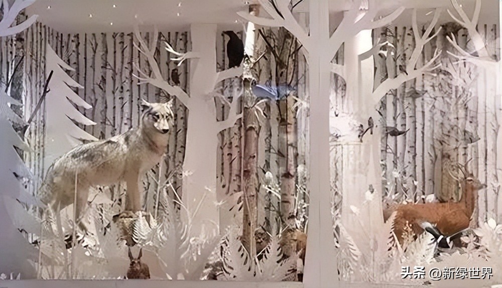 纸艺作品绘画,千变万化的纸艺术作品