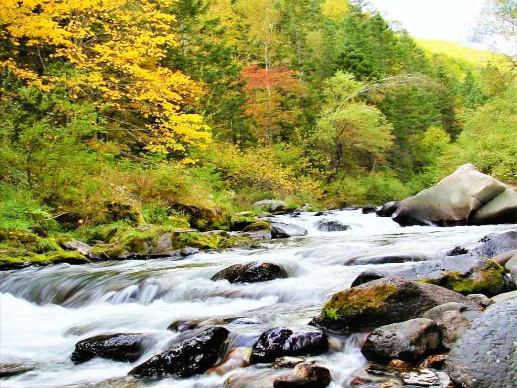 插队时的记忆：五十多年前三道湾抓蛤蟆