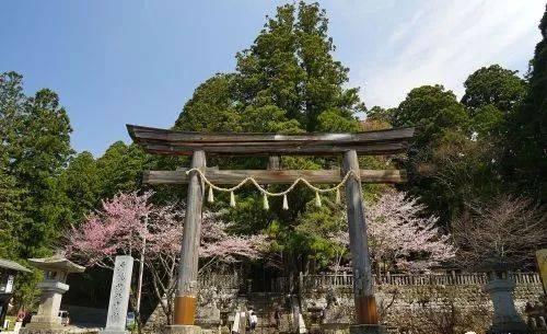 世界旅游地美景,世界旅游地理视频