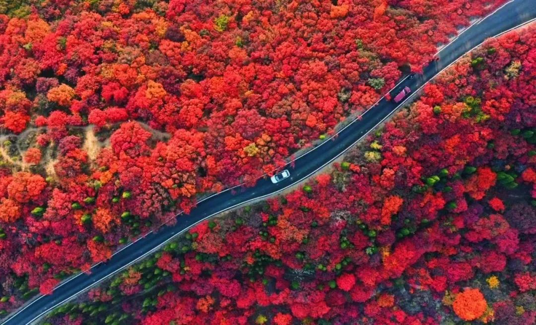 乡村振兴100讲全集,100个经典乡村振兴案例