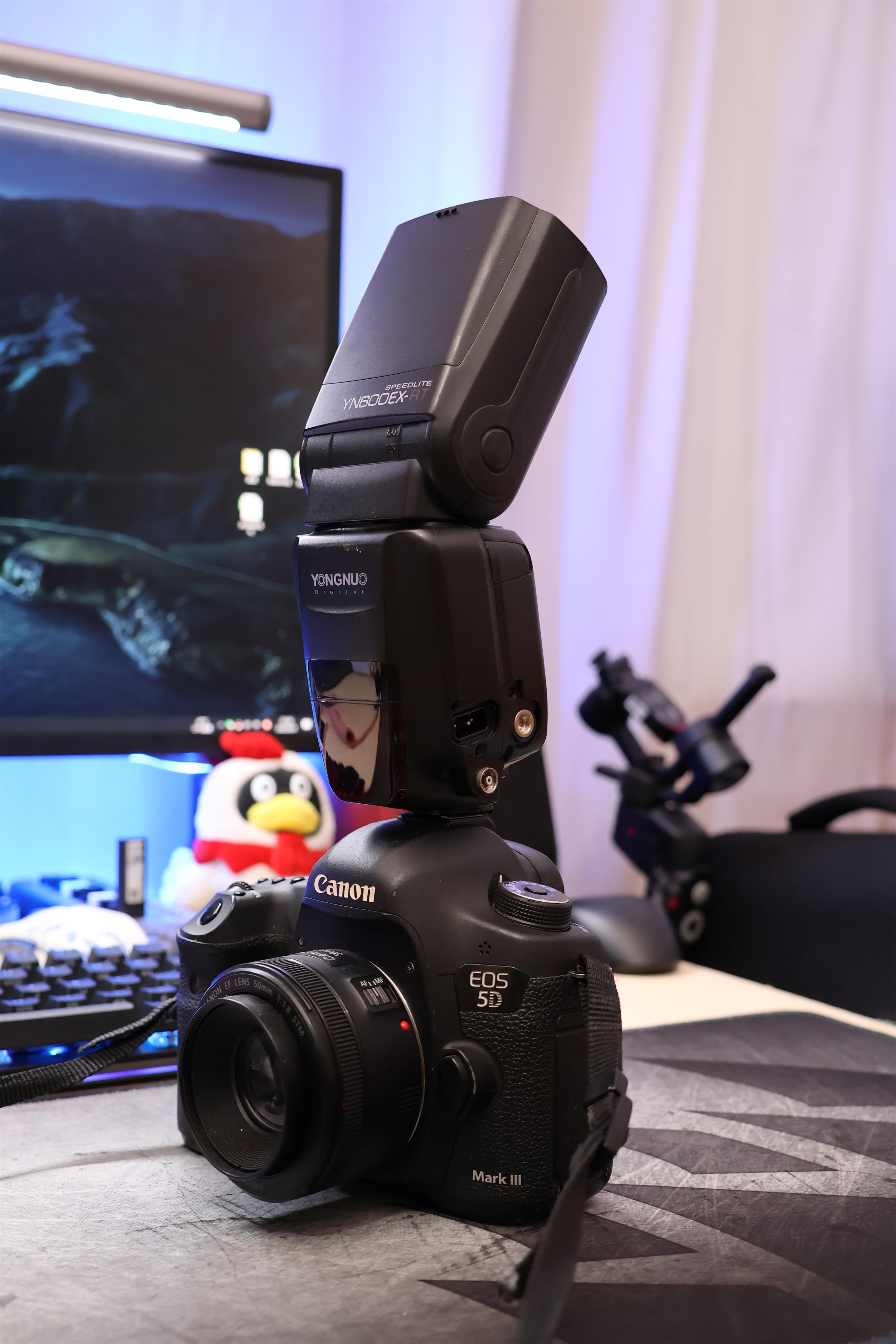 5d3跟r10拍照画质对比,佳能r10还是选择老款5d3