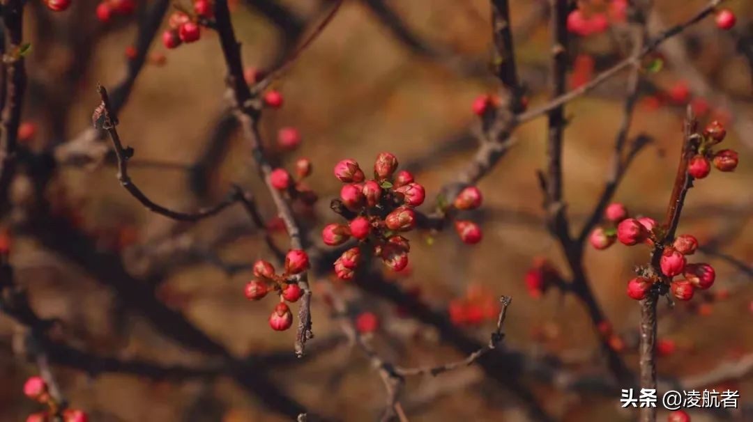 共赴春之约携手新征程,共赴春天之约携手砥砺前行