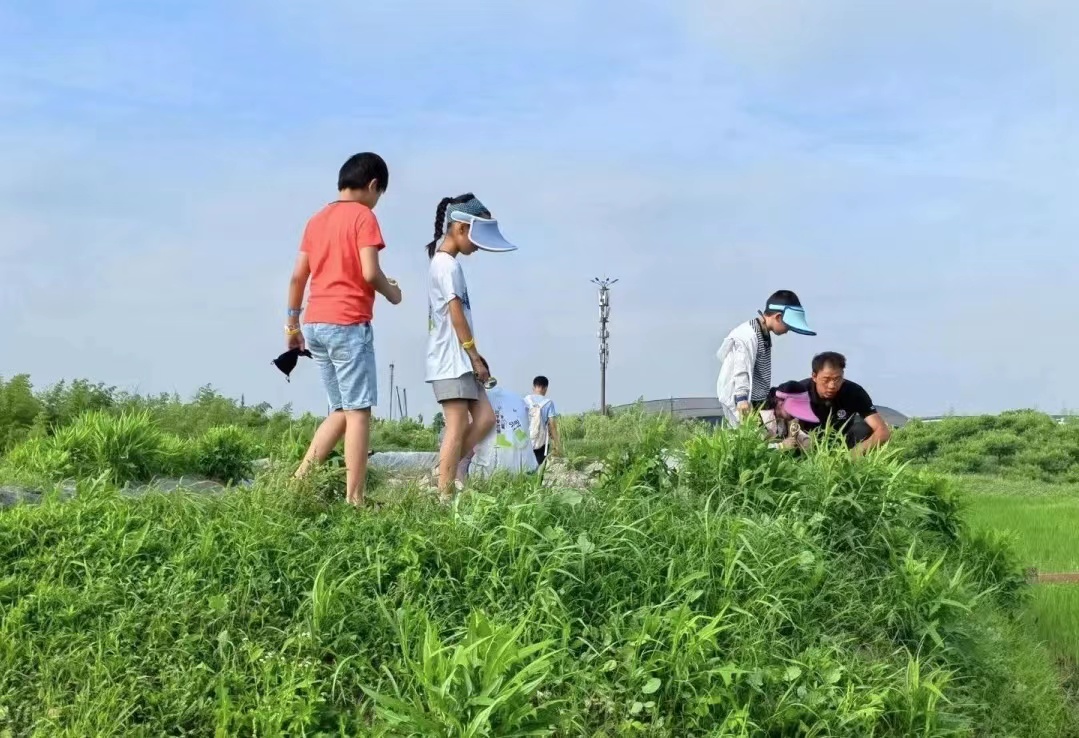 终于去了“中国本土版ClubMed”,乌村也太好玩了吧