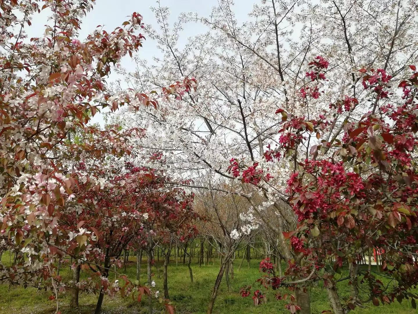 简单易记成语接龙大全完整版,成语接龙大全为孩子收藏