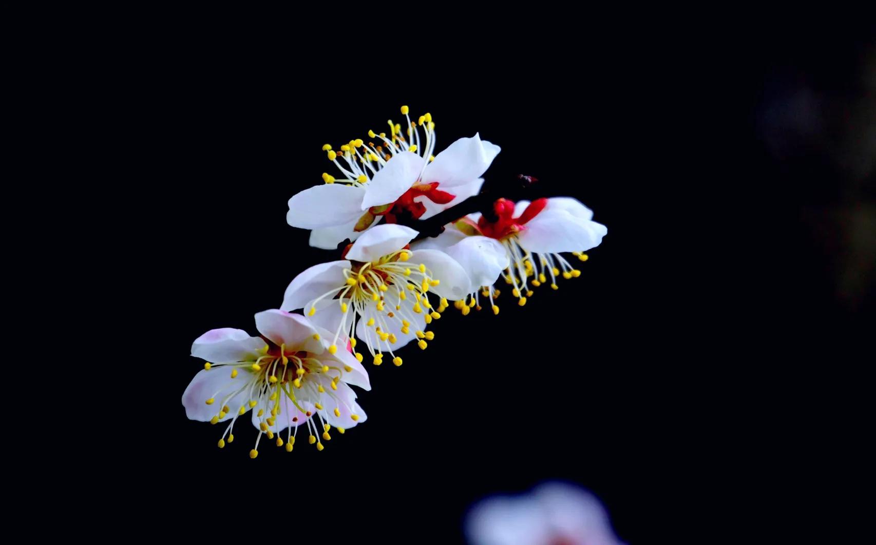 微头条学习写作,微头条写作学习