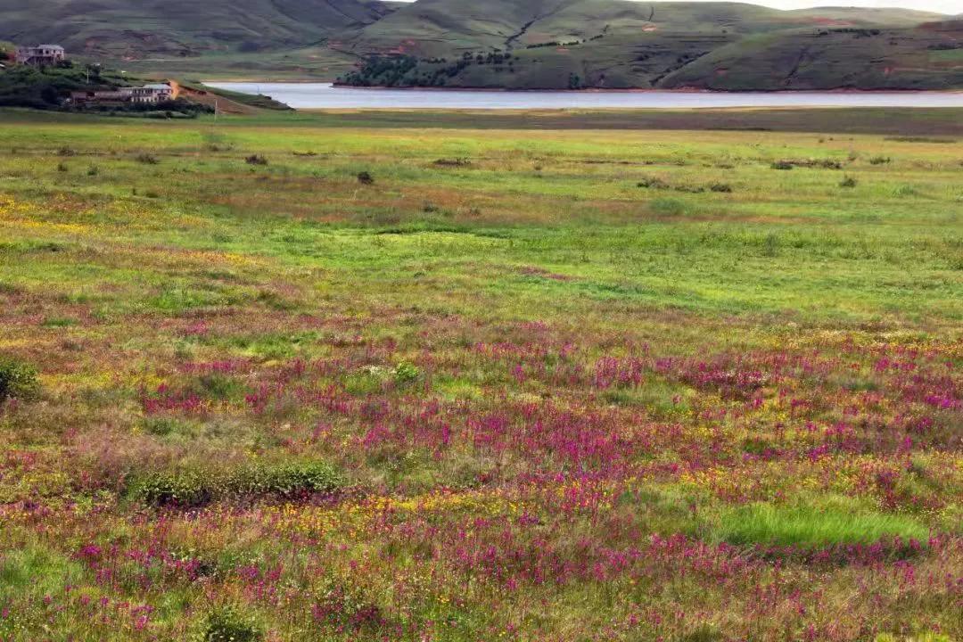 云南旅游避暑景点有哪些地方好耍,云南避暑美食胜地