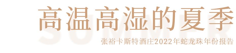 蛇龙珠烟台张裕卡斯特酒庄,张裕卡斯特酒庄蛇龙珠干红葡萄酒