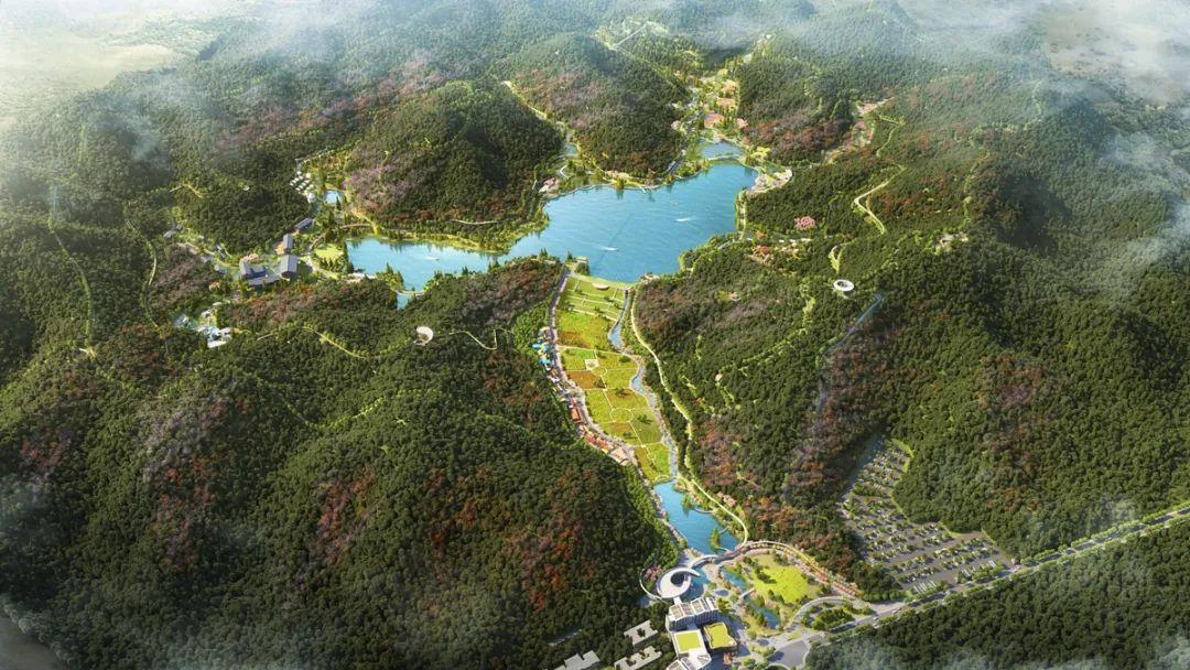 楚雄市投资项目,楚雄重大项目投资