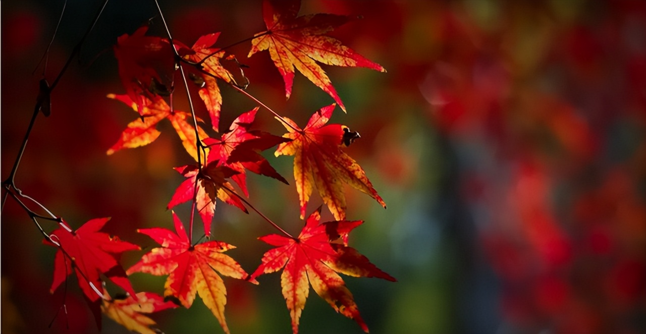 关于生活的10个真相，赶走你所有矫情