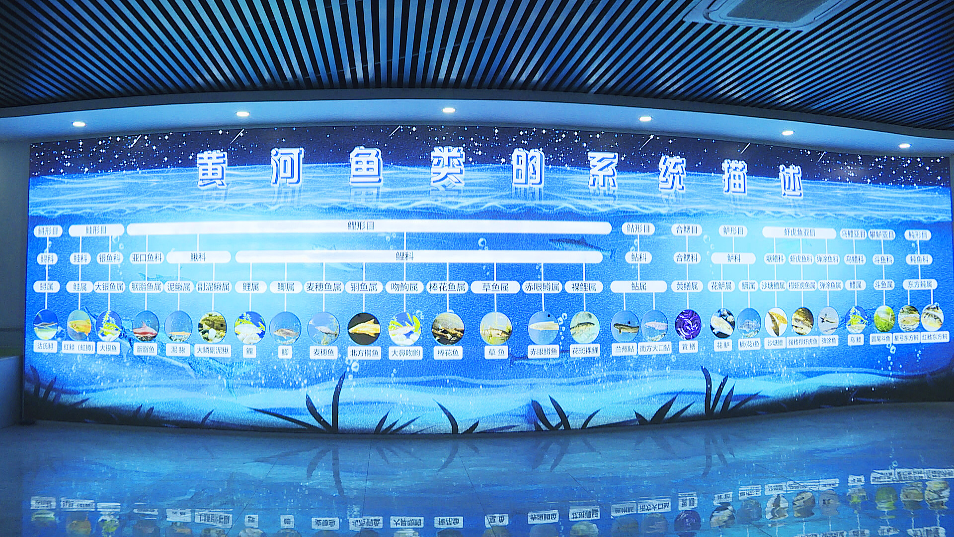 贺兰县：“贷”动创业梦“托”起大民生