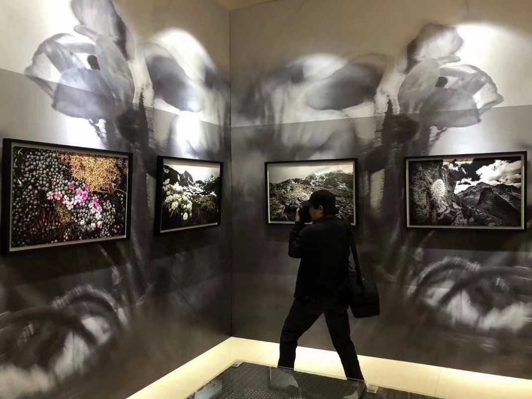 爱普生艺术微喷广州,爱普生高清艺术微喷设备