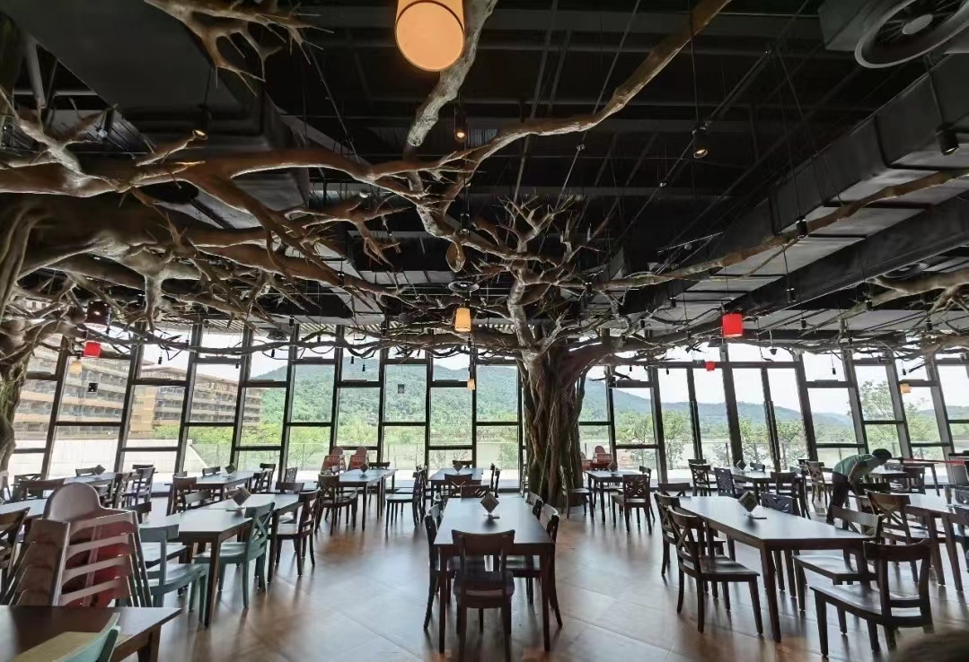 莫干山开元森泊和莫干山森泊,莫干山开元森泊2天一夜攻略