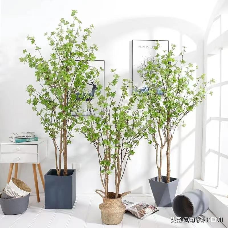 新房装修好后甲醛怎样去除,怎么让家具里的甲醛快速释放出来