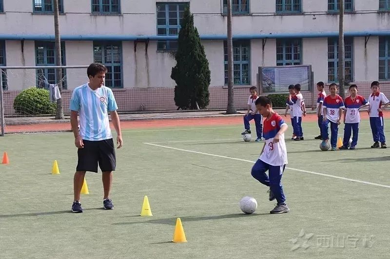 全国青少年校园足球联赛2024校园,全国青少年校园足球联赛东南赛区