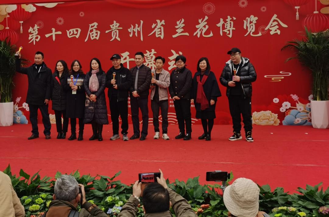 顶级名品兰花欣赏,国际兰展特金奖兰花