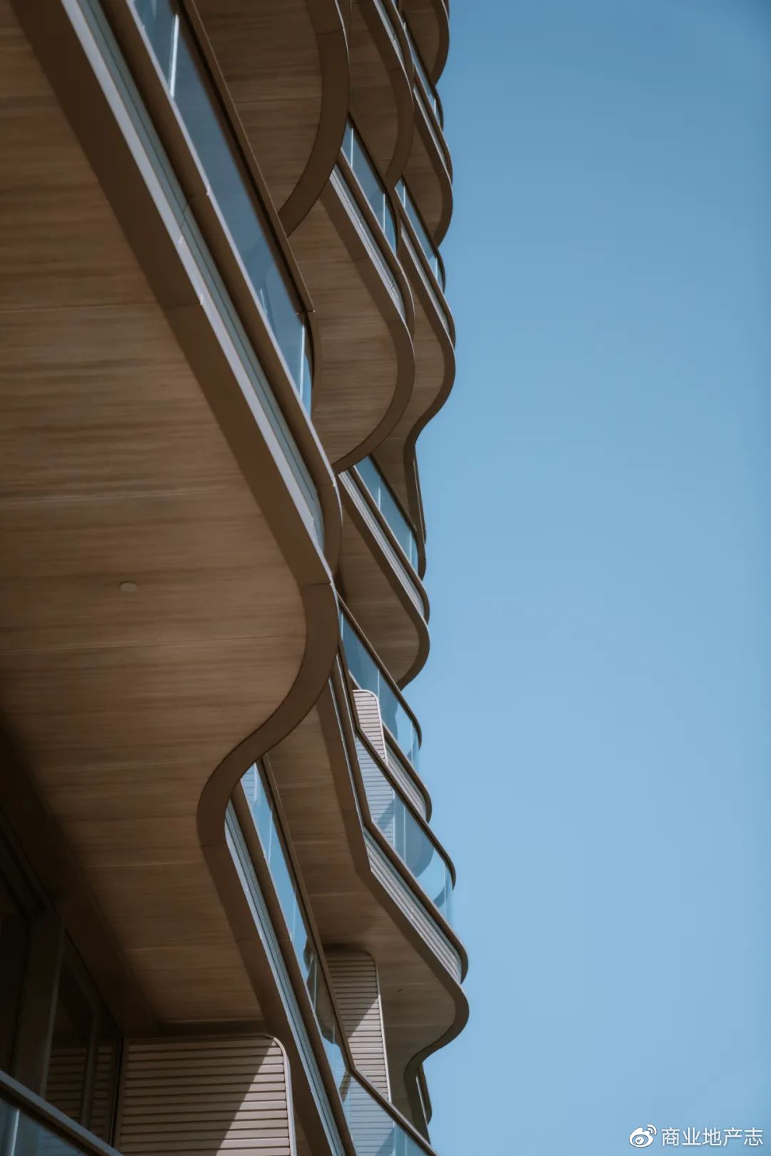 CRR杂谈|HK7日,我与7个香港商业人的深聊记录