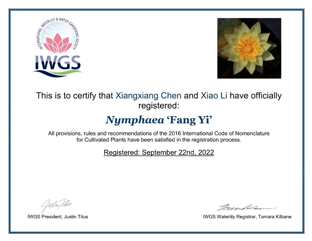 95后广东小伙痴迷睡莲育种,95后小伙痴迷睡莲育种