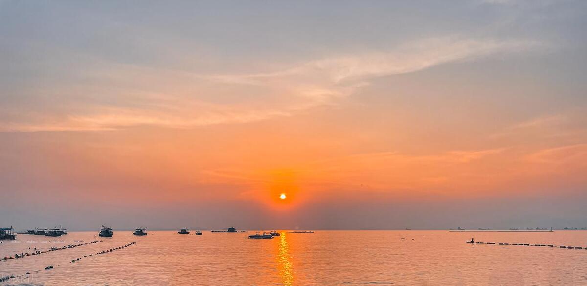 马尔代夫哪个岛可以看见海龟,马尔代夫海龟一般出现在哪里