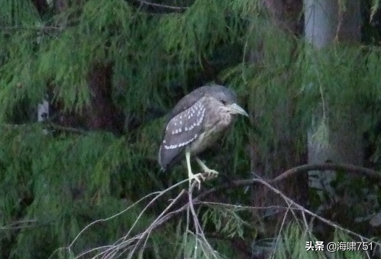 黄花岗公园开放时间,黄花岗公园停车