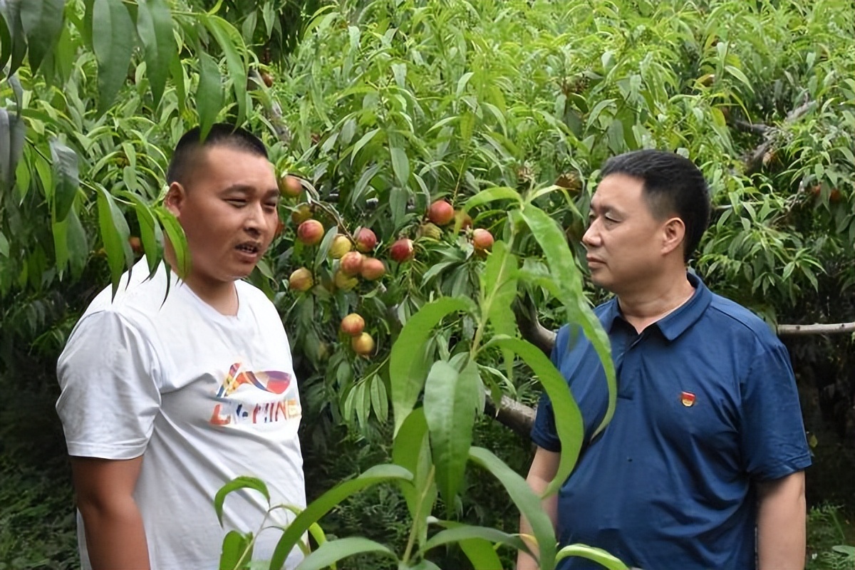 农业指导员需要的专业知识,农业技术指导员需要做什么