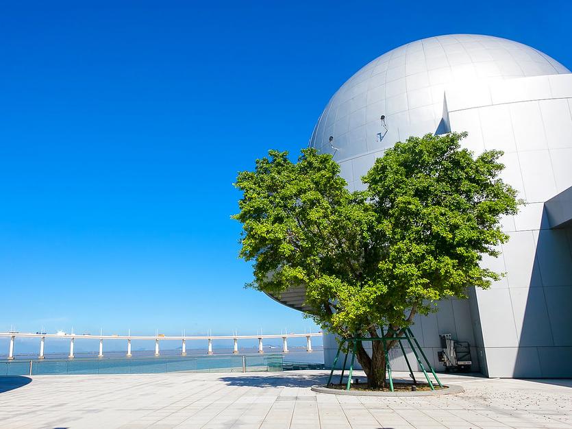 带娃去澳门住哪里最方便,带孩子去澳门玩一圈路线