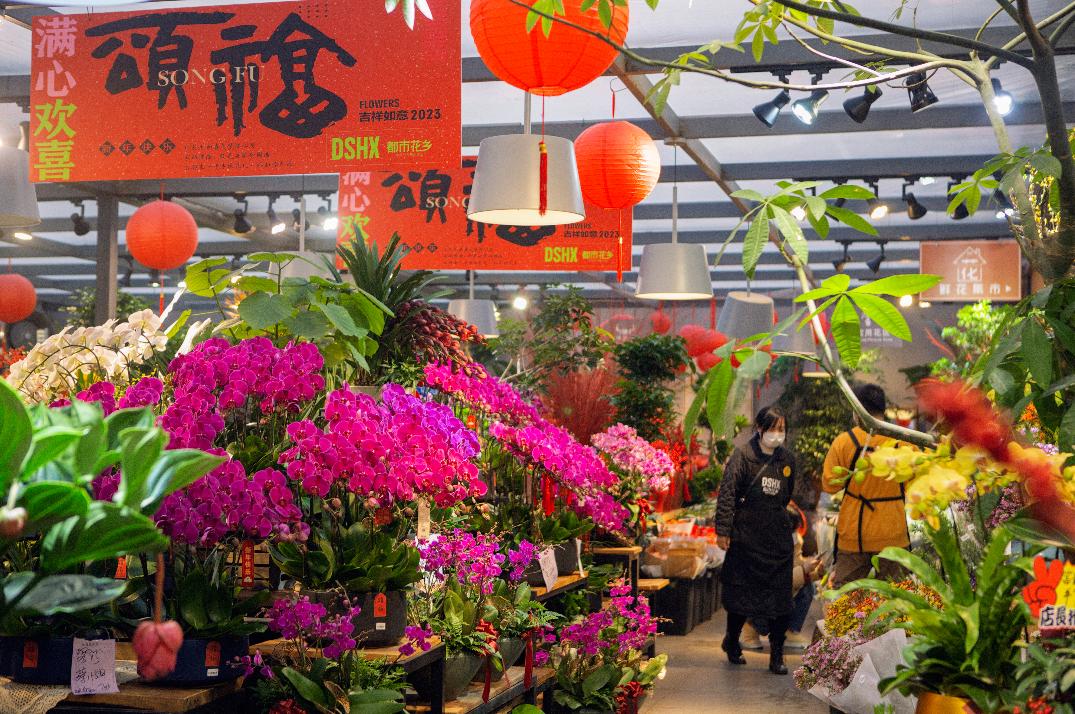 实体零售业“寒冬”过后，2023花园中心的新机会在哪里？