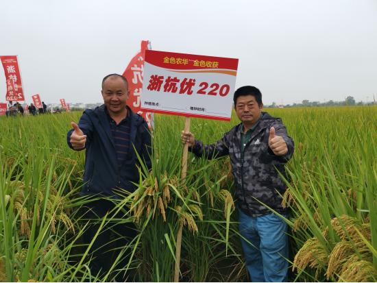 杭州种业集团携手北京金色农华召开江西省浙杭优220省级观摩大会