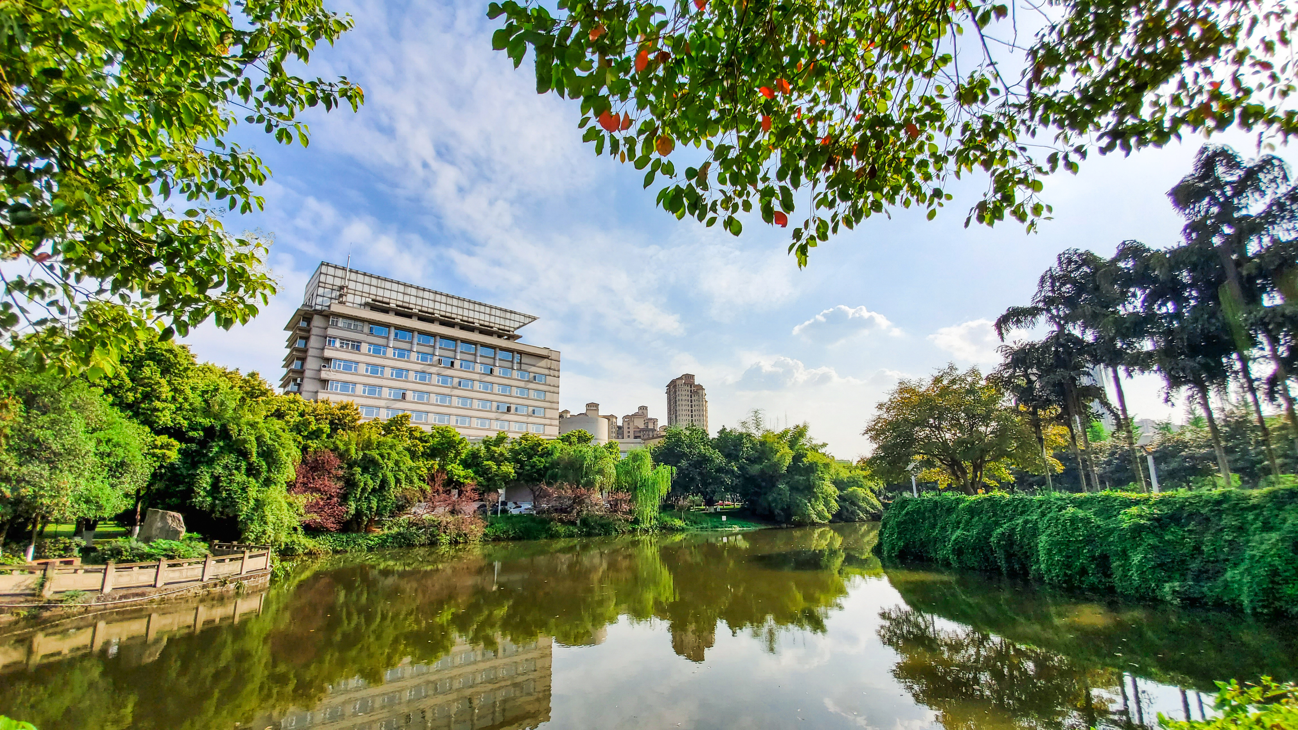 西南石油大学录取分数,西南石油大学历年分数线