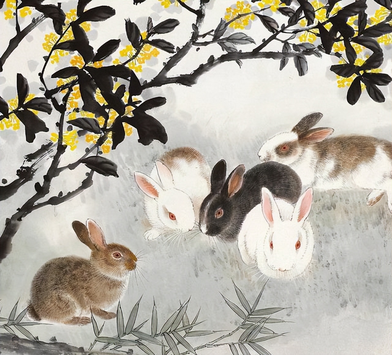 和妻子争吵是什么生肖,夫妻争吵是什么生肖