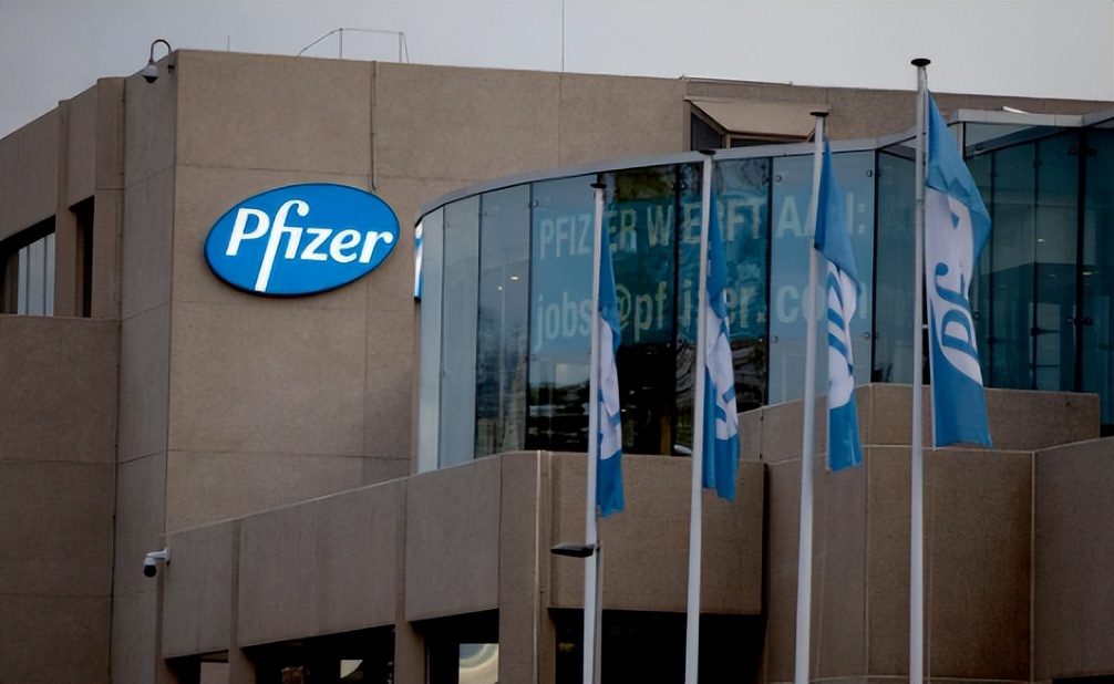 辉瑞发展史,辉瑞发家史