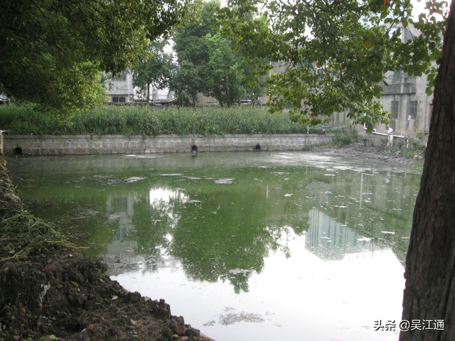 楸间簨灏忚,楸间簨鏉傝