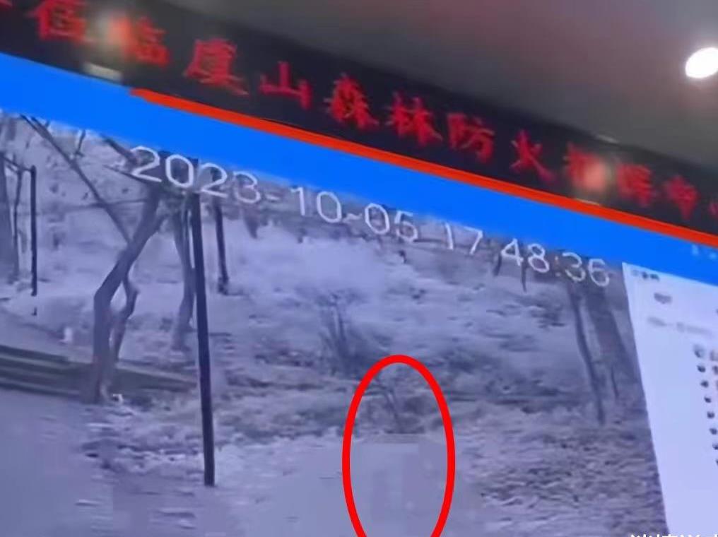 监控拍摄情侣吵架视频,监控拍到的情侣亲吻新闻