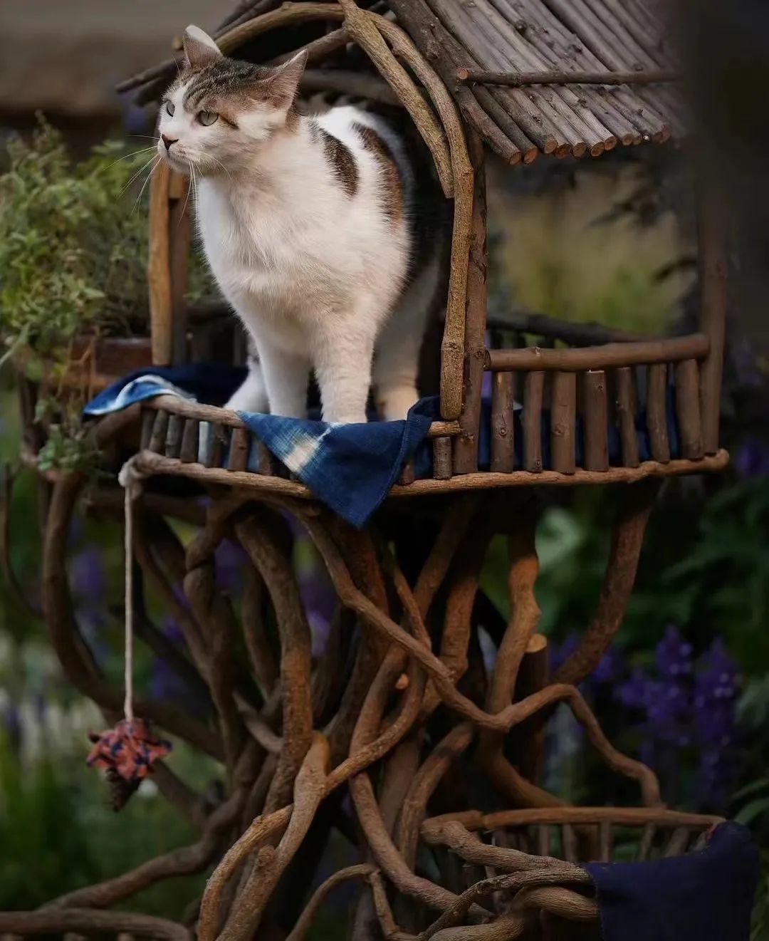 这个8月，在大理躺平的年轻人开始告别