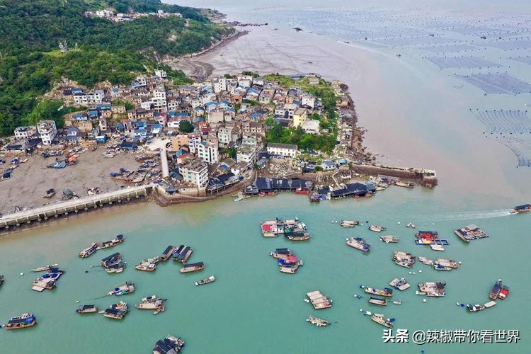 宁德大黄鱼之乡攻略,霞浦大黄鱼之乡图片