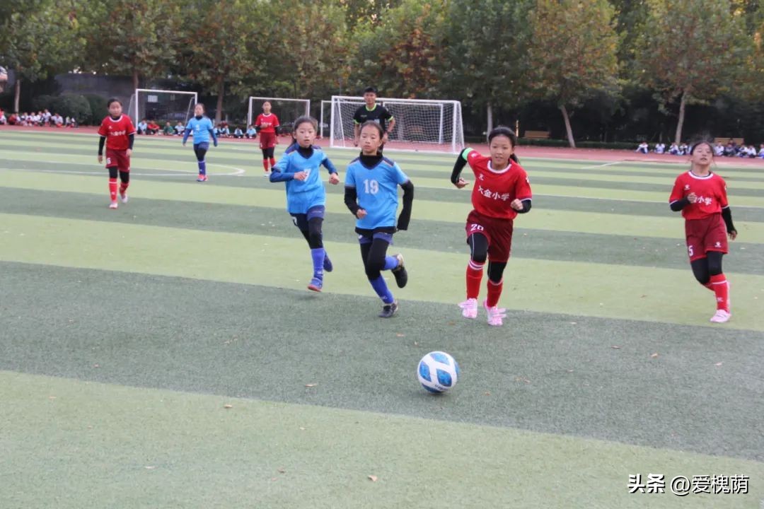 体彩杯足球赛小学,2024年历城区小学生足球比赛