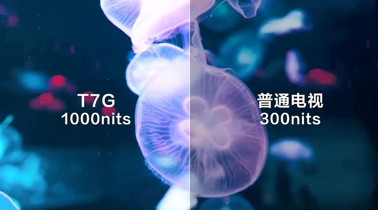 家电到底该不该买贵,六种不值得花钱的家电