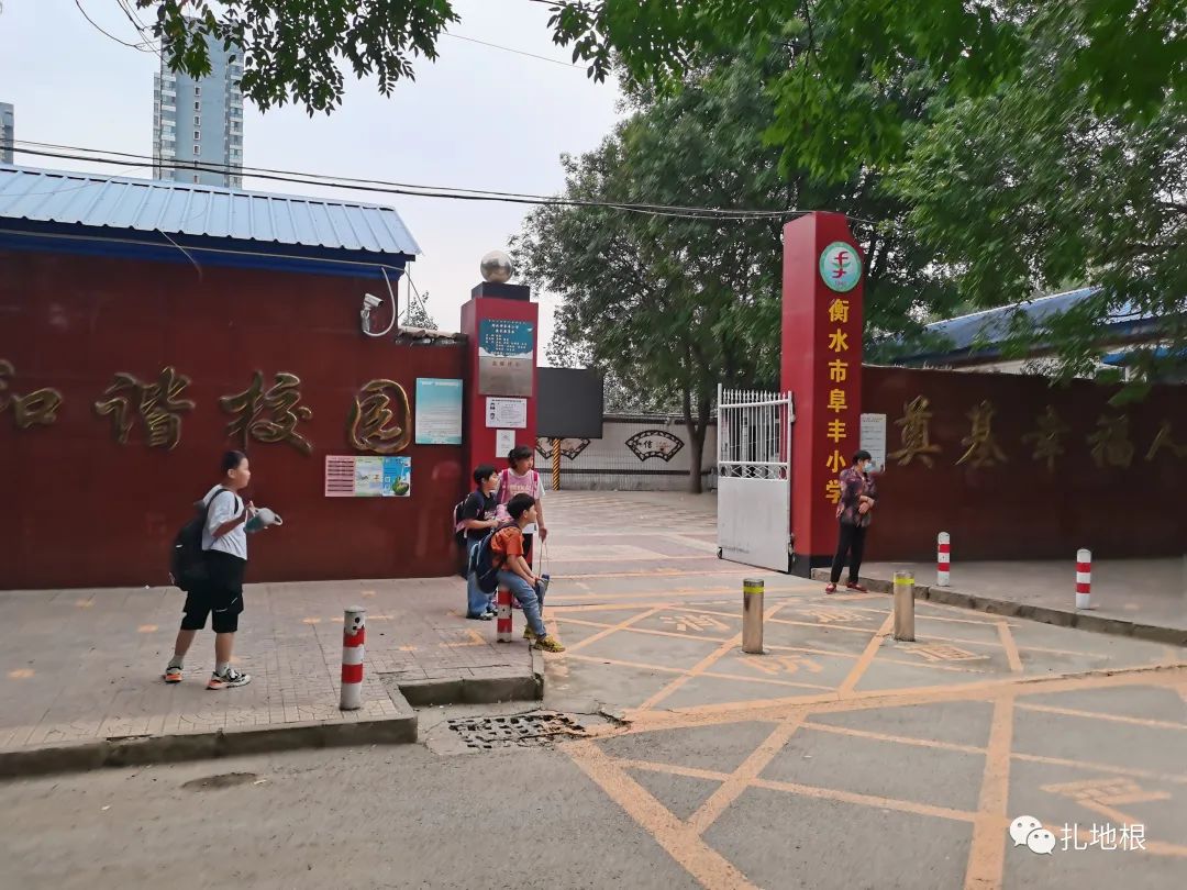 衡水市区比较好的小学有哪些,衡水公办小学有哪些