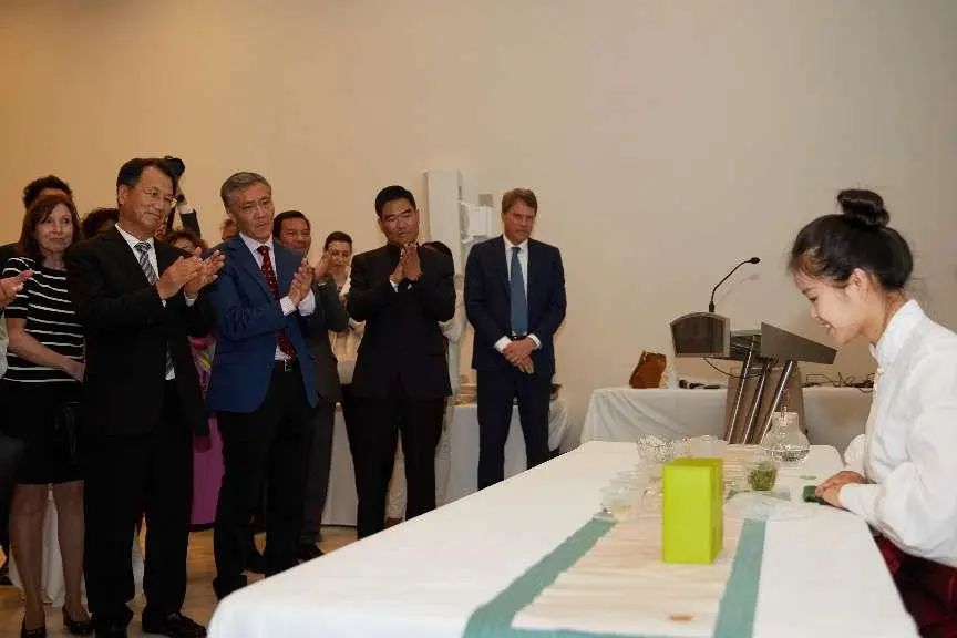 骄傲信阳,马德里信阳毛尖