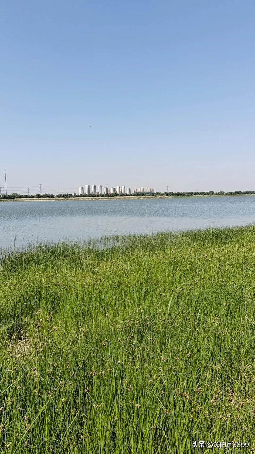 北塘新宜家园,北塘新房板块