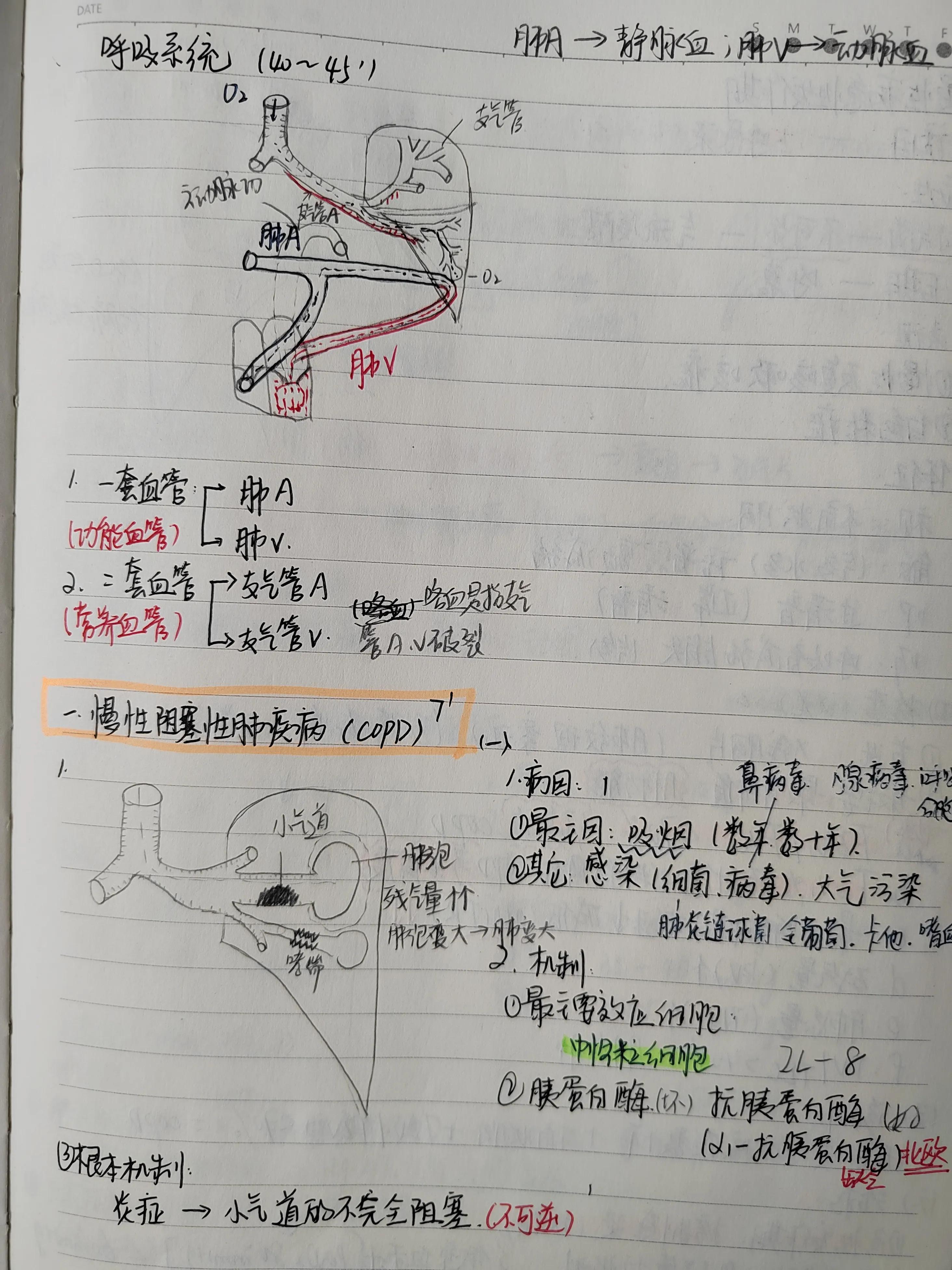 2022年中医执业助理医师考试大纲,2022年助理医师报考执业医师条件