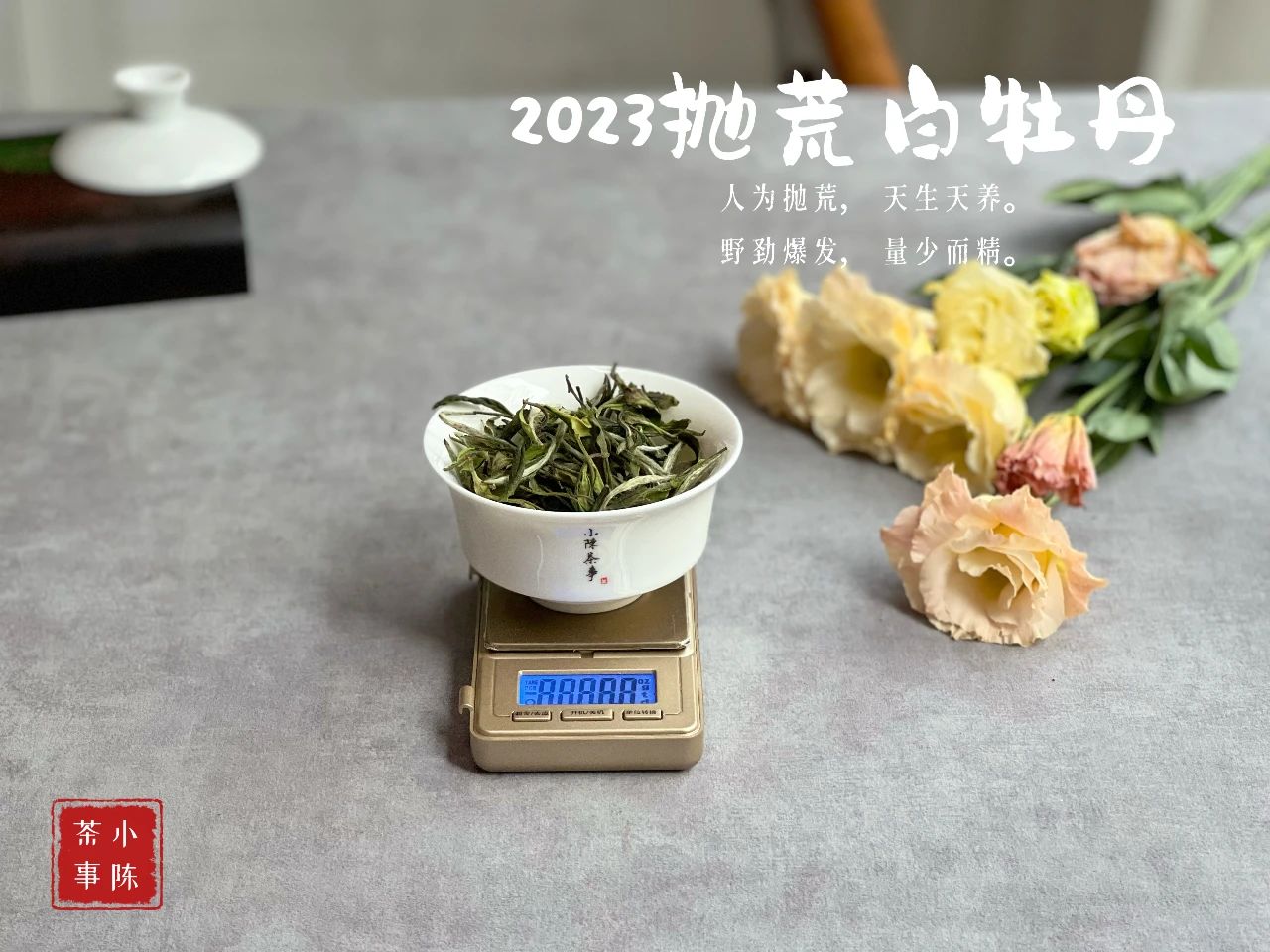 七里香夜来香,七里香丁香花